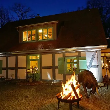 Apartment 5 - Gourmetzimmer Bestensee Exterior photo